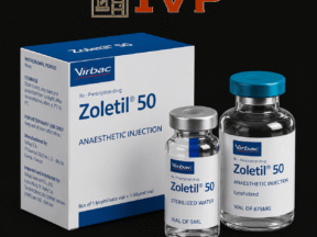 Thuốc Mê Zoletil 50